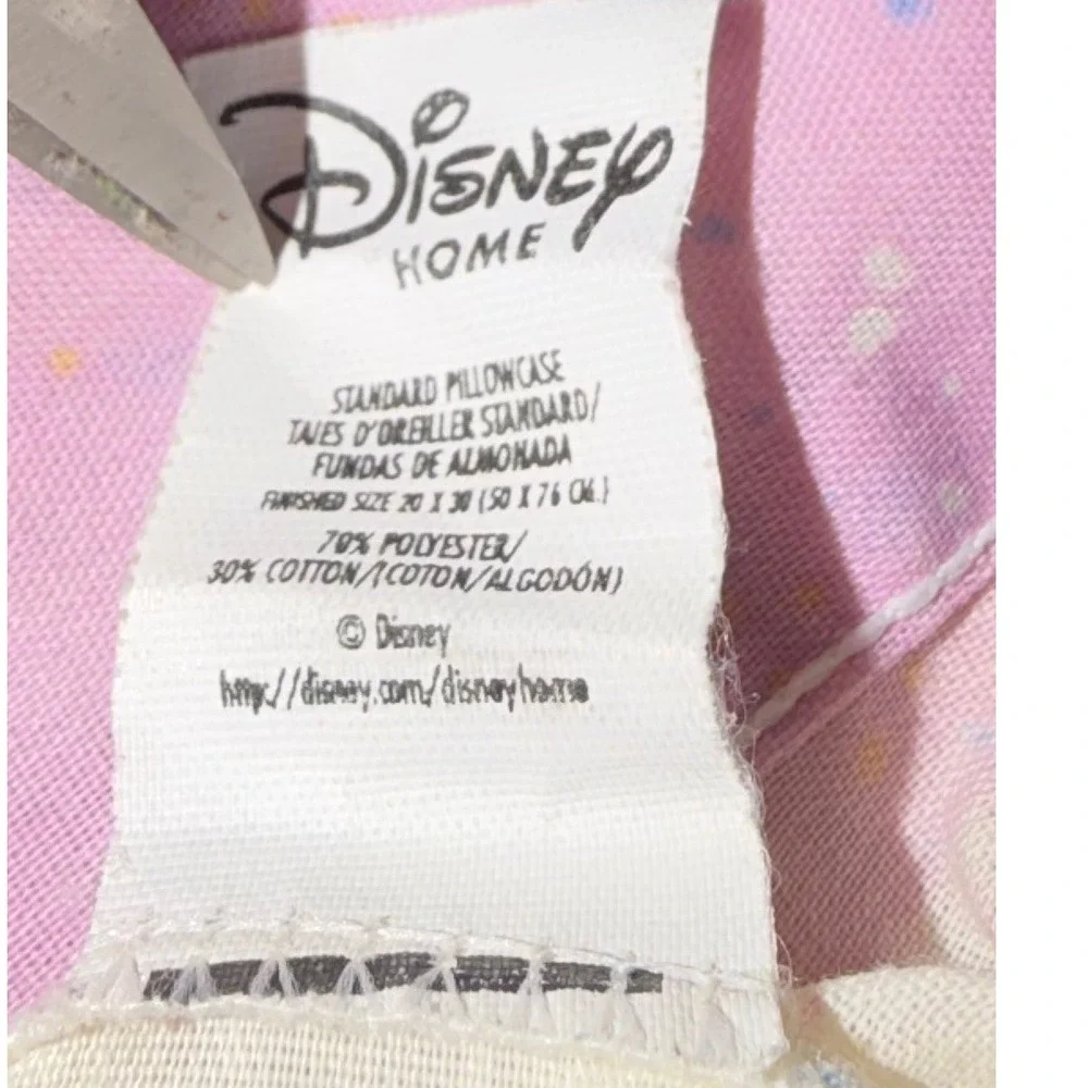 Disney home standard